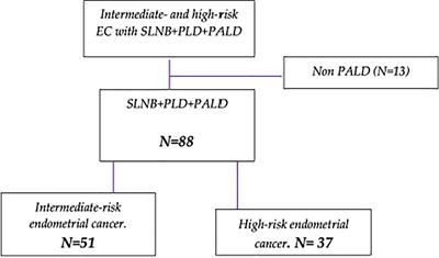 Avoiding Full Lymphadenectomies in Intermediate- and High-Risk Endometrial Cancer by Sentinel Lymph Node Biopsy Implementation